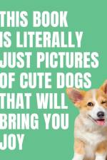 This Book is Literally Just Cute Dogs That Will Bring You Joy