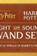Harry Potter: Harry Potter Light and Sound Wand Set af Donald Lemke