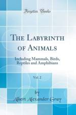 The Labyrinth of Animals, Vol. 2: Including Mammals, Birds, Reptiles and Amphibians (Classic Reprint) af Albert Alexander Gray