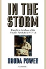 IN THE STORM af Rhoda Power