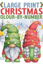 Large Print Christmas Colour-by-Numbers af David Woodroffe