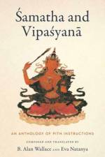 Samatha and Vipasyana af B. Alan Wallace