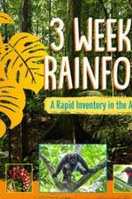 3 Weeks in the Rainforest af Jennifer Swanson