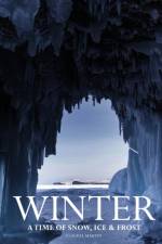 Winter af Claudia Martin