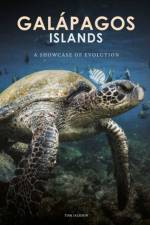 Galapagos Islands af Tom Jackson