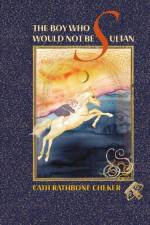 The Boy Who Would Not Be Sultan af Cath Rathbone Cheker