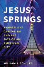Jesus Springs af William J. Schultz