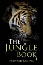 Rollercoasters: The Jungle Book af Rudyard Kipling