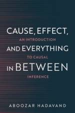 Cause, Effect, and Everything in Between af Aboozar (Assistant Professor of Computational Sciences Hadavand