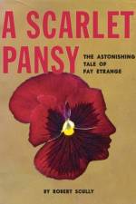 A Scarlet Pansy