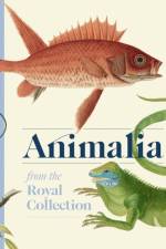 Animalia