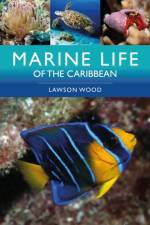 Marine Life of the Caribbean af Lawson Wood