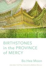 Birthstones in the Province of Mercy af Bo Hee Moon