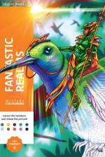 Mystery Colouring - Fantastic Worlds af Jeremy Mariez