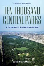 Ten Thousand Central Parks af David Brown Morris