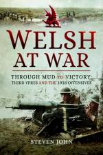 The Welsh at War af Steven John