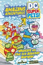 Whatzit vs the Ice Blaster Burglar af Steve Korte