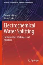Electrochemical Water Splitting af Tanveer ul Haq