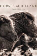 Horses of Iceland af Guadalupe Laiz