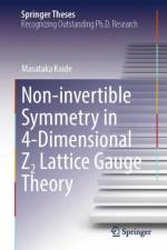 Non-invertible Symmetry in 4-Dimensional Z2 Lattice Gauge Theory af Masataka Koide