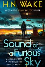 Sound of a Furious Sky af HN Wake