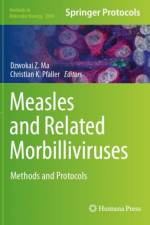 Measles and Related Morbilliviruses