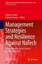 Management Strategies and Resilience Against NaTech Events