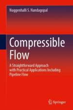 Compressible Flow af Nuggenhalli S. Nandagopal