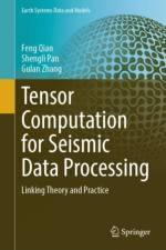 Tensor Computation for Seismic Data Processing af Feng Qian