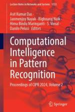 Computational Intelligence in Pattern Recognition
