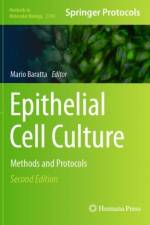 Epithelial Cell Culture