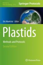 Plastids