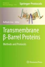 Transmembrane ß-Barrel Proteins