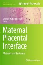 Maternal Placental Interface