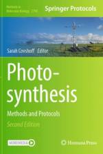 Photosynthesis