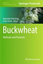 Buckwheat