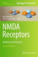 NMDA Receptors