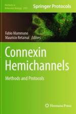 Connexin Hemichannels
