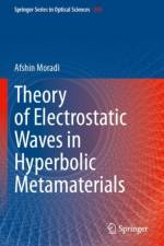 Theory of Electrostatic Waves in Hyperbolic Metamaterials af Afshin Moradi
