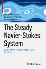 The Steady Navier-Stokes System af Mikhail Korobkov
