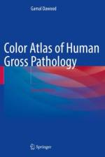 Color Atlas of Human Gross and Microscopic Pathology af Gamal Dawood