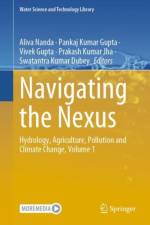 Navigating the Nexus