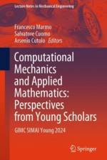 Computational Mechanics and Applied Mathematics: Perspectives from Young Scholars