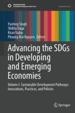Advancing the SDGs in Developing and Emerging Economies