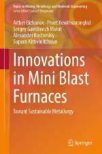 Innovations in Mini Blast Furnaces af Aitber Bizhanov