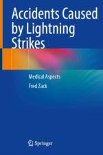 Accidents Caused by Lightning Strikes af Fred Zack