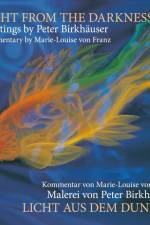 Licht aus dem Dunkel / Light from the Darkness af Peter Birkhauser