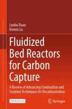 Fluidized Bed Reactors for Carbon Capture af Lunbo Duan