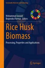 Rice Husk Biomass