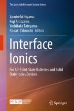 Interface Ionics